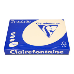 PAPIER KSERO KOLOR A3 TROPHEE PIASKOWY 160G 250 ARK