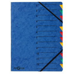 TECZKA Z GUMKĄ SEGREGUJĄCA 12 CZĘŚCIOWA  DURABLE PAGNA EASY P2413102 NIEBIESKA TEKTUROWA