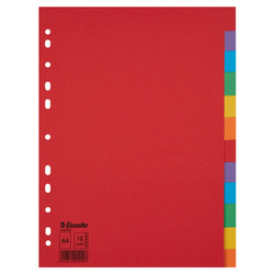 PRZEKŁADKI A4 ESSELTE 100202 MIX KARTON 12SZT
