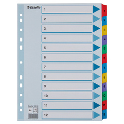 PRZEKŁADKI 1-12 A4 ESSELTE MYLAR 100162 MIX KARTON 160G