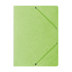 TECZKA Z GUMKĄ A4 BANTEX 400087827 JASNO ZIELONA PRESZPANOWA