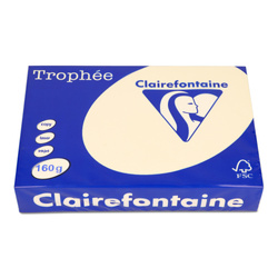 PAPIER KSERO KOLOR A4 TROPHEE PIASKOWY 160G 250 ARK