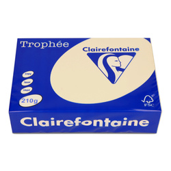 PAPIER KSERO KOLOR A4 TROPHEE PIASKOWY 210G 250 ARK