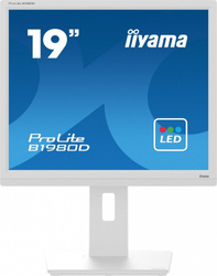 IIYAMA MONITOR 19 CALI B1980D-W5 DVI,VGA,PIVIOT,HAS/150MM,5:4