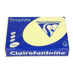 PAPIER KSERO KOLOR A4 TROPHEE KANARKOWY 160G 250 ARK