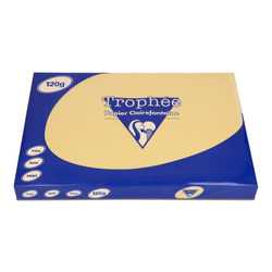 PAPIER KSERO KOLOR A3 TROPHEE BRĄZ WIELBŁĄDZI 120G 250 ARK