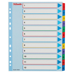 PRZEKŁADKI 1-12 A4 MAXI ESSELTE 100209 MIX