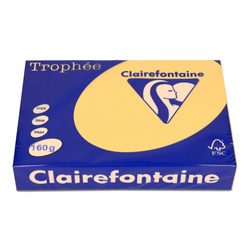PAPIER KSERO KOLOR A4 TROPHEE ZŁOTY ŻÓŁTY 160G 250 ARK