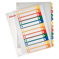 PRZEKŁADKI 1-12 A4 MAXI ESSELTE 100214 MIX PP